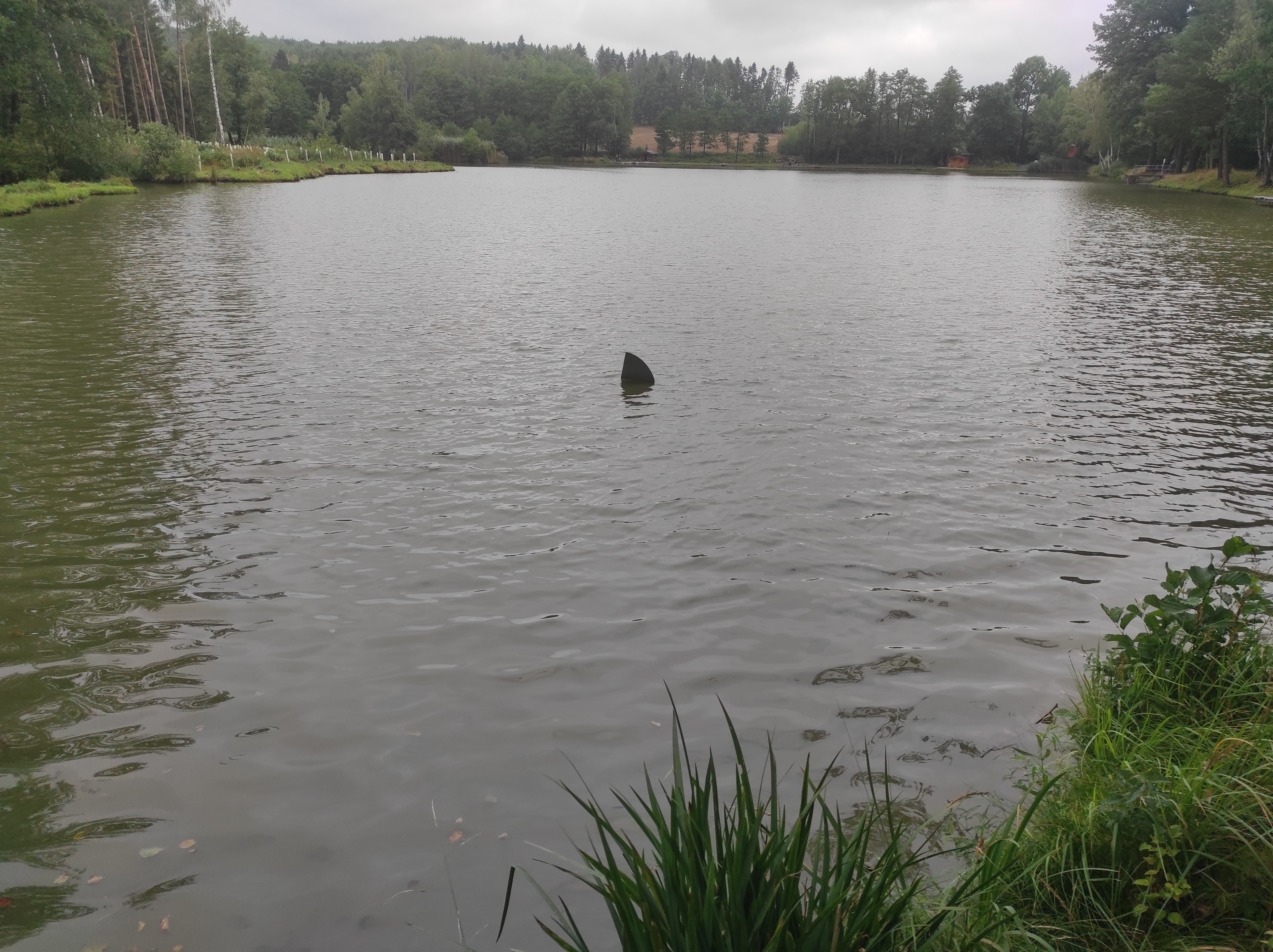 Revír - obrázek 14