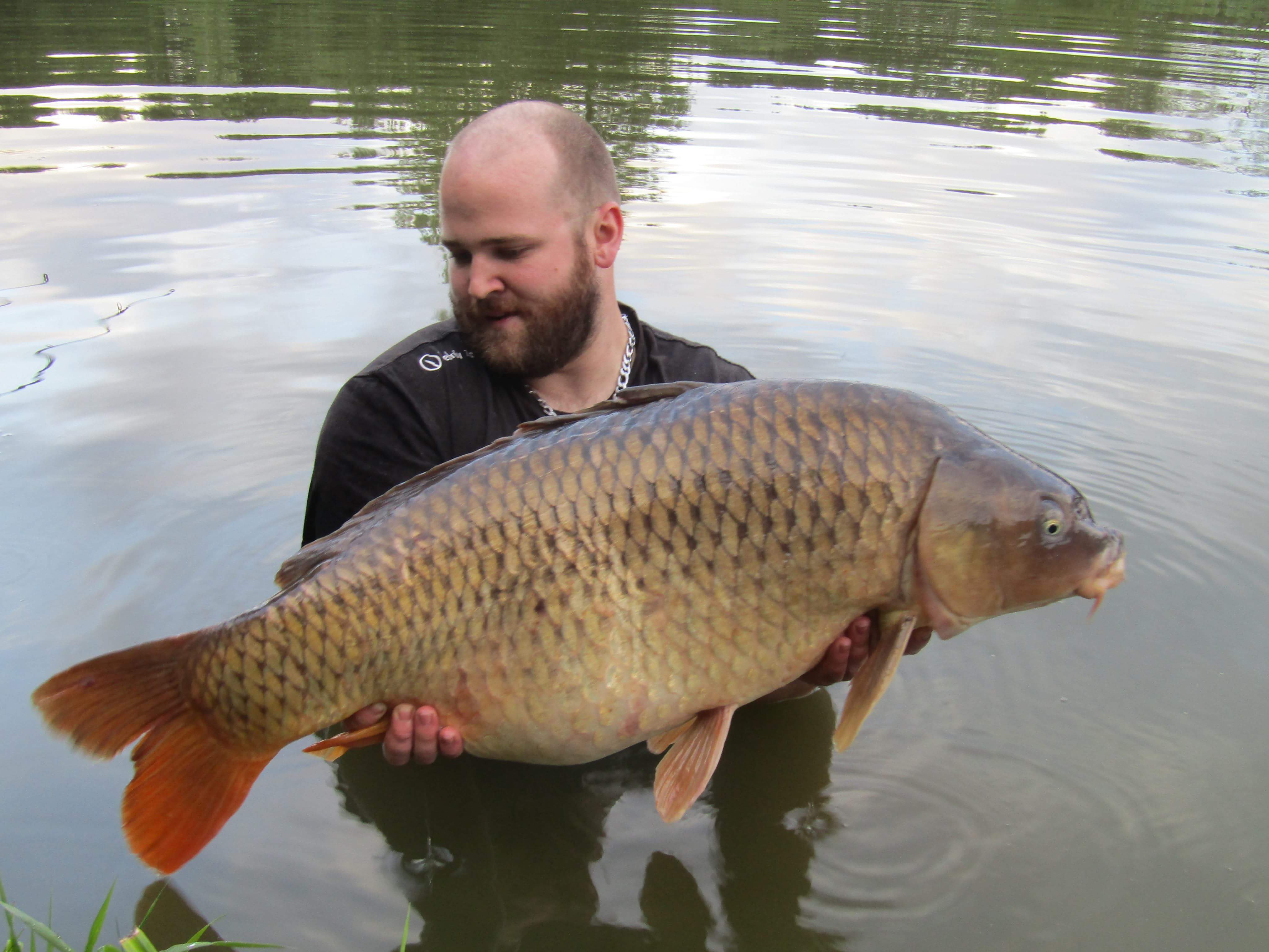 Úlovky - obrázek 15