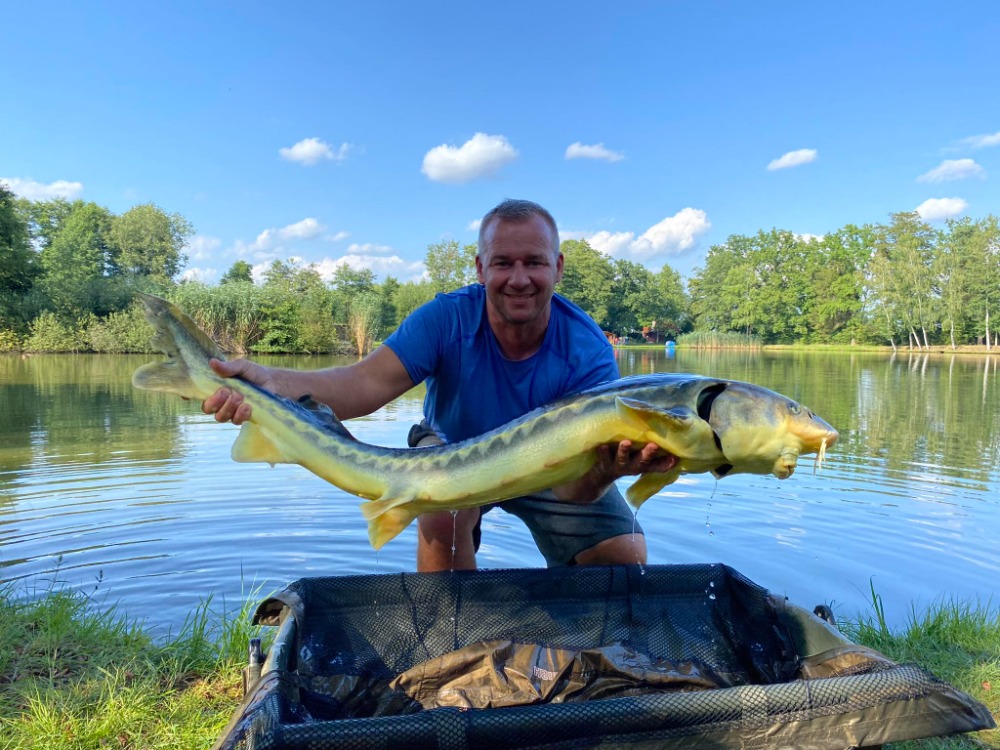 Úlovky - obrázek 9