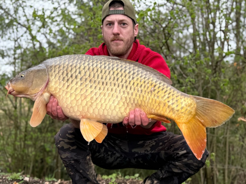 Úlovky - obrázek 19