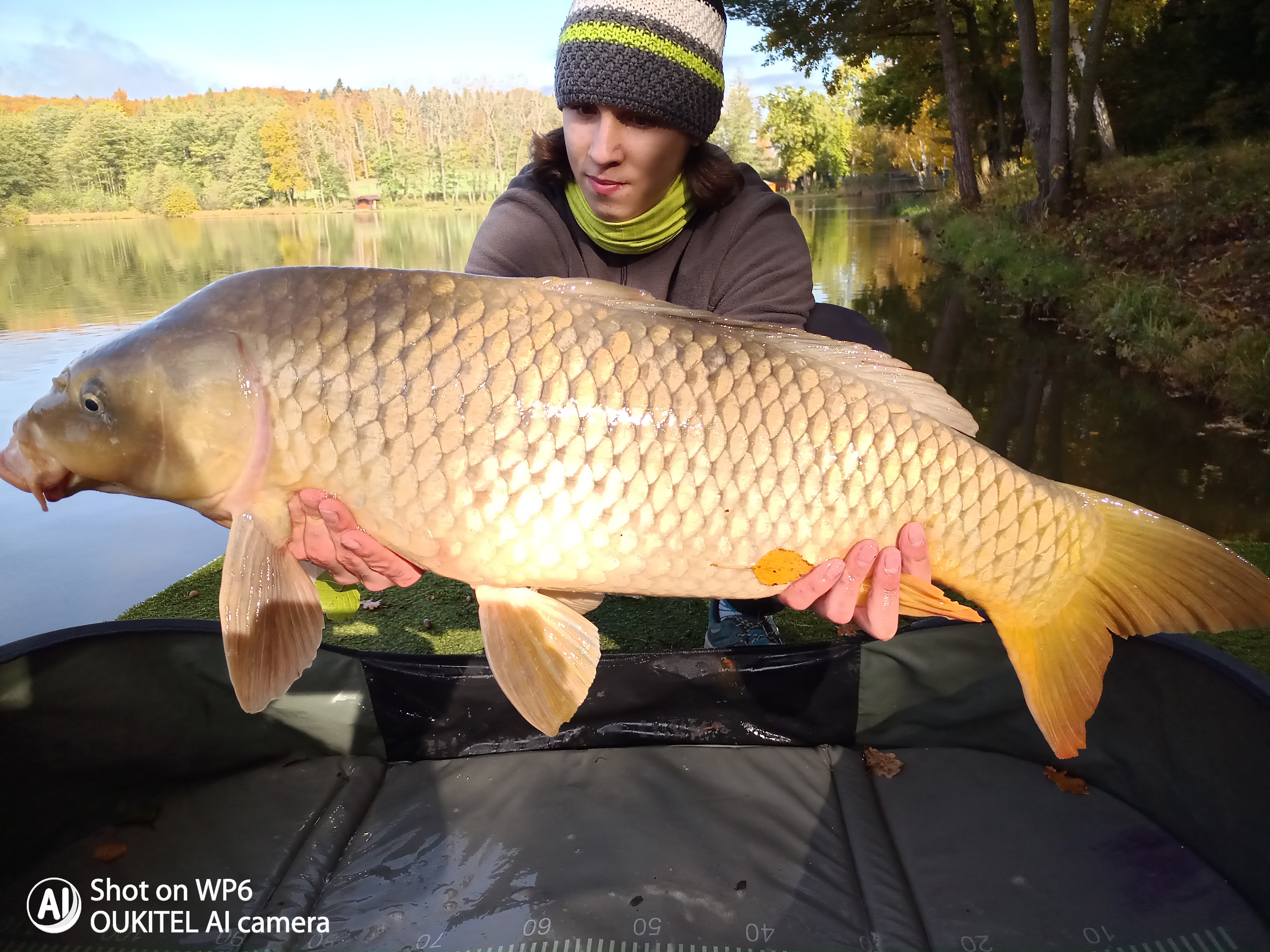 Úlovky - obrázek 24