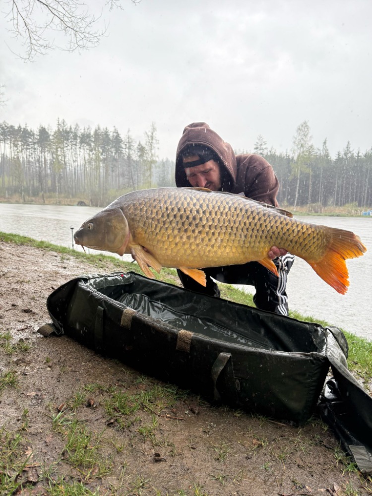 Úlovky - obrázek 5