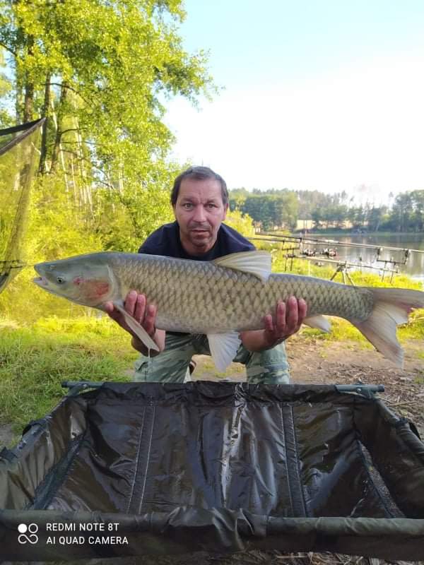 Úlovky - obrázek 34