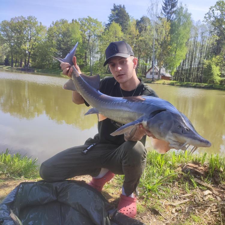 Úlovky - obrázek 39